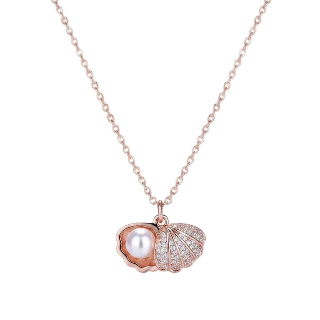 Collar Corazón Circonita | Acero