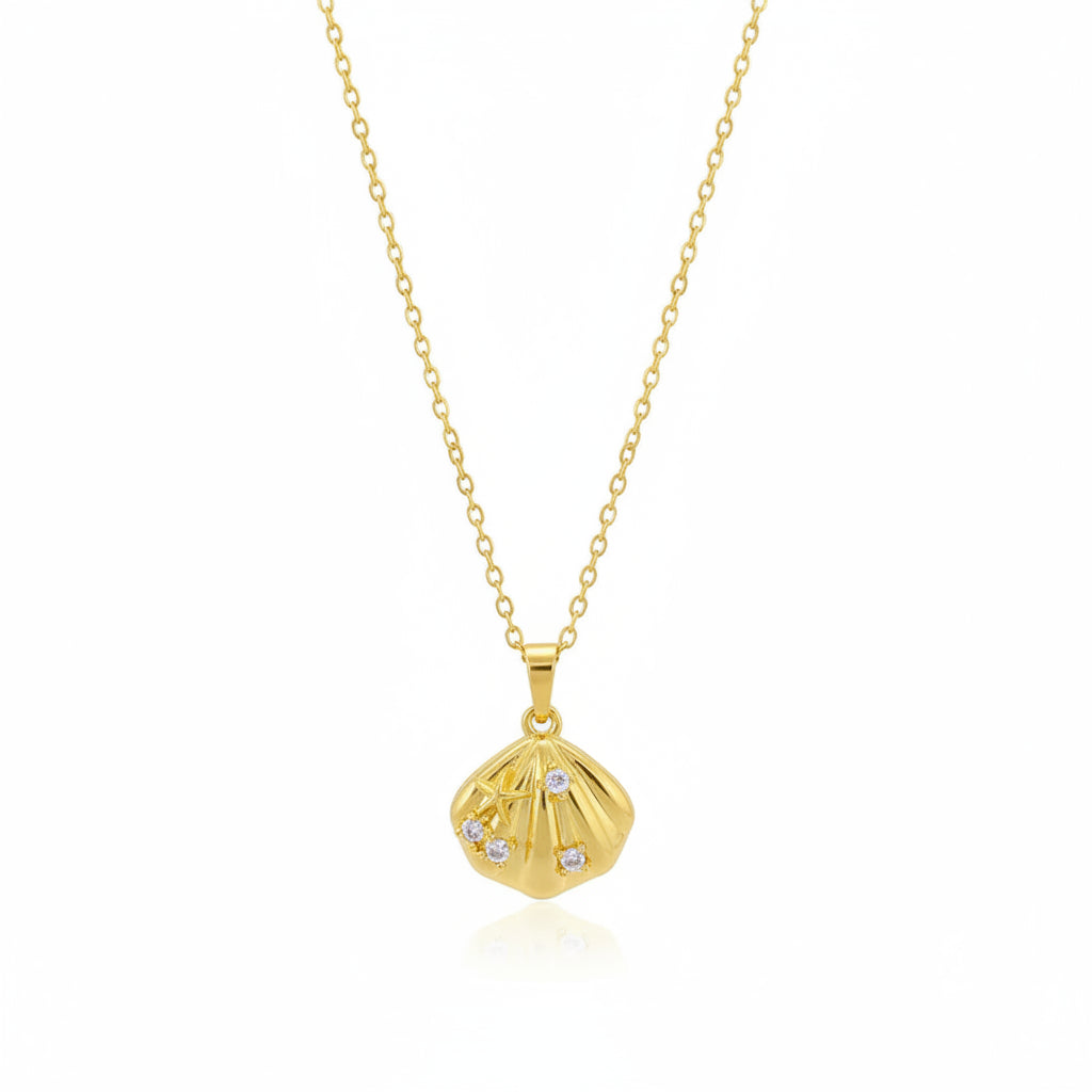 Collar Corazón Circonita | Acero
